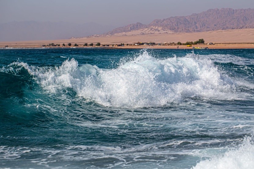 Bezpieczne wakacje w Marsa Alam