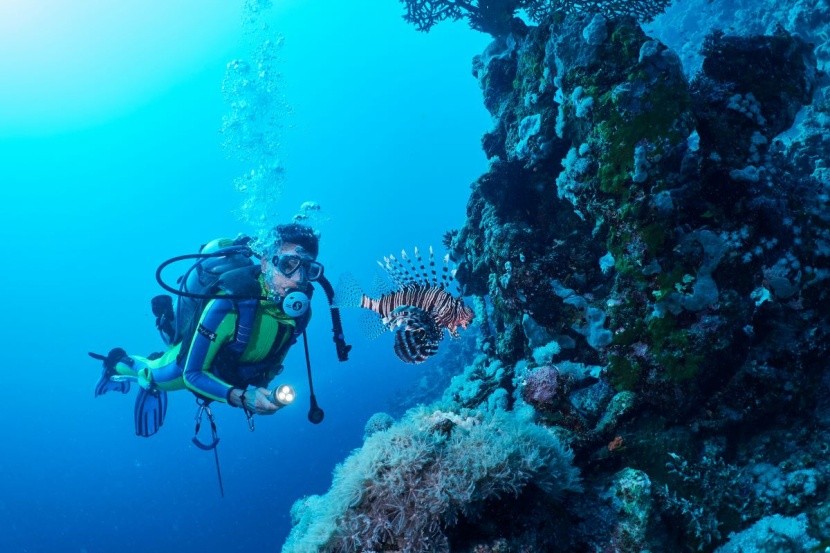 Bezpieczne wakacje w Marsa Alam