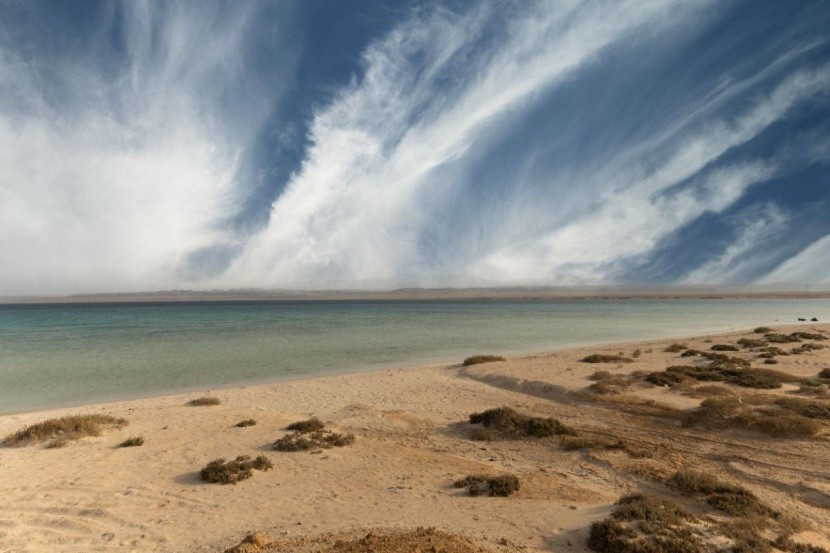 Sharm El Luli - plaże Marsa Alam