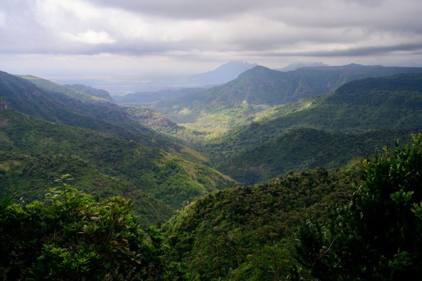 Black River Gorges - Mauritius