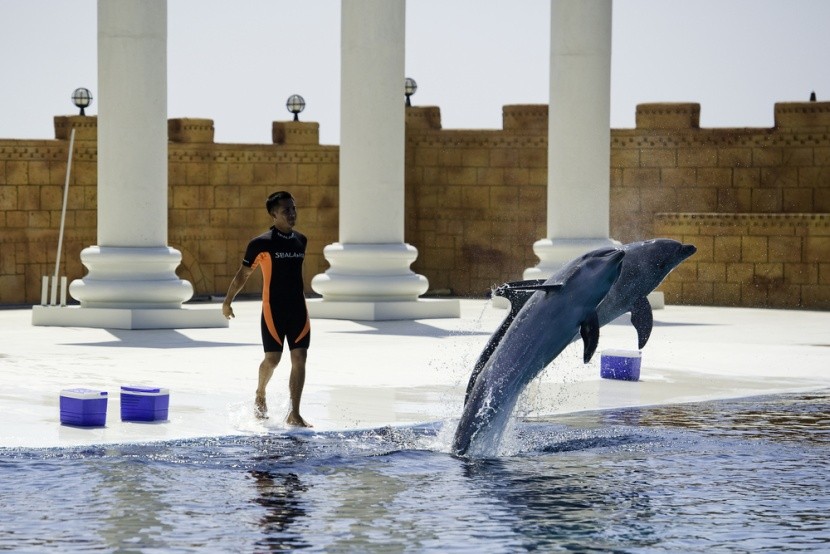 Delfinárium Alanya