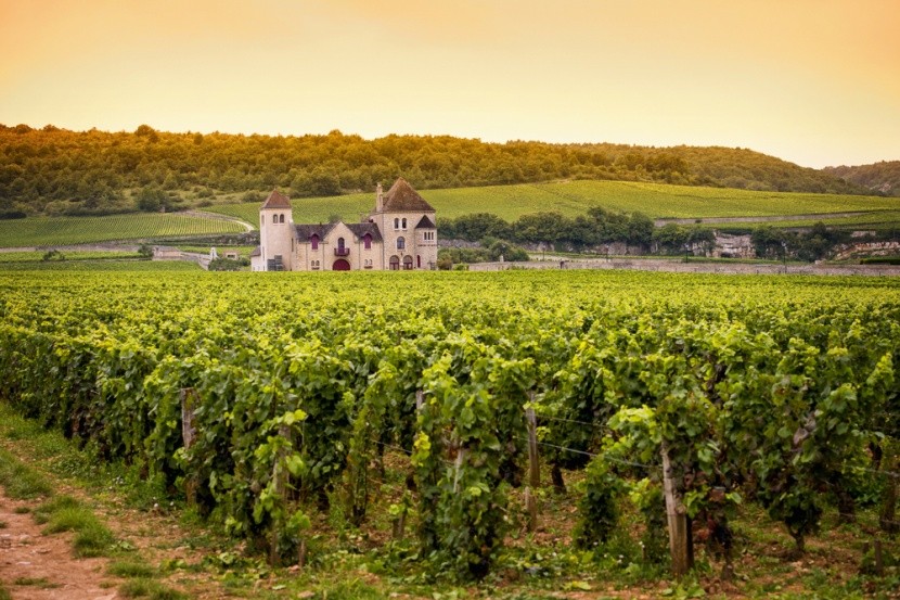 Zámek s vinicemi v Burgundsku, Francie