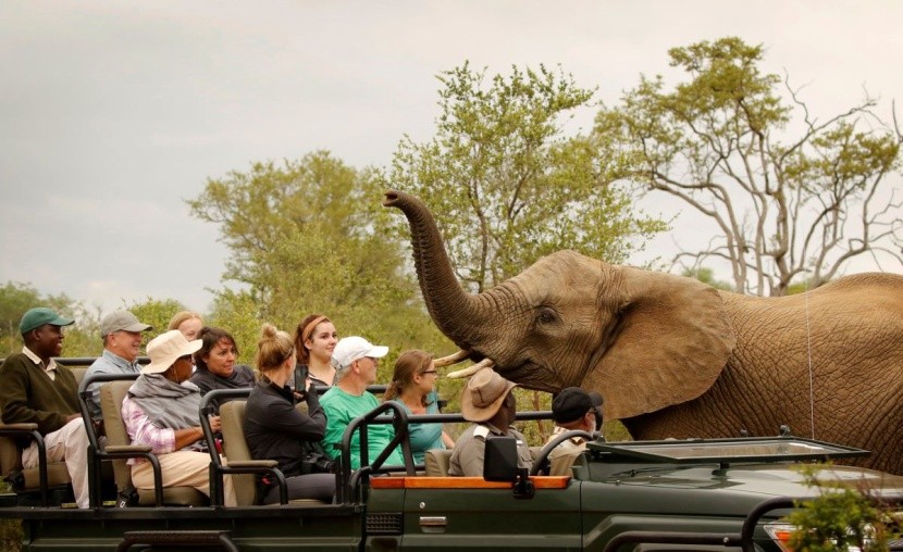 Safari w Tanzanii - Tarangire