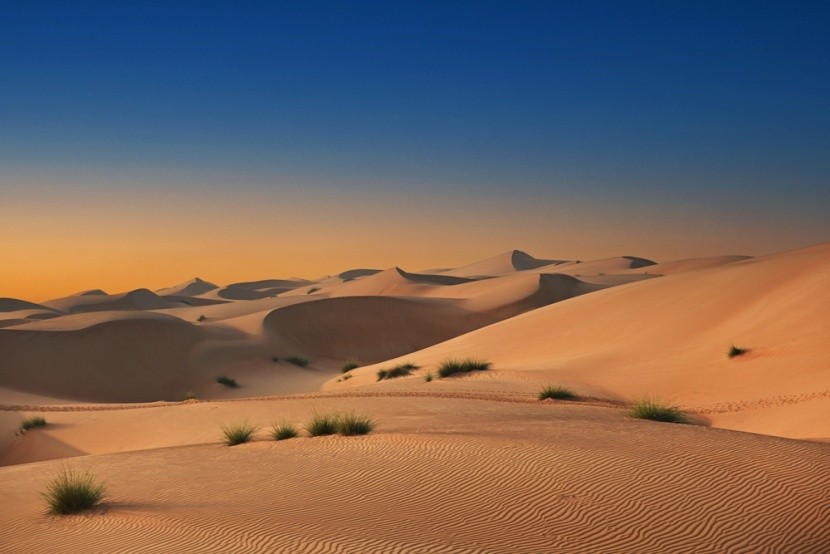 poušť Wahiba Sands, Omán