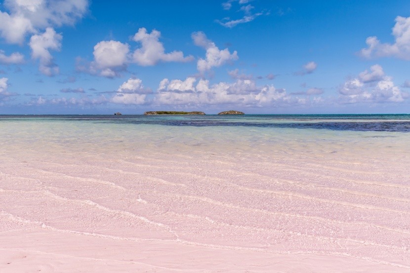 Pink Sands Beach, Bahamy