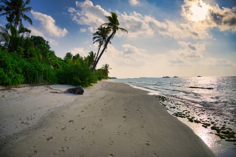 Plaża na Malediwach