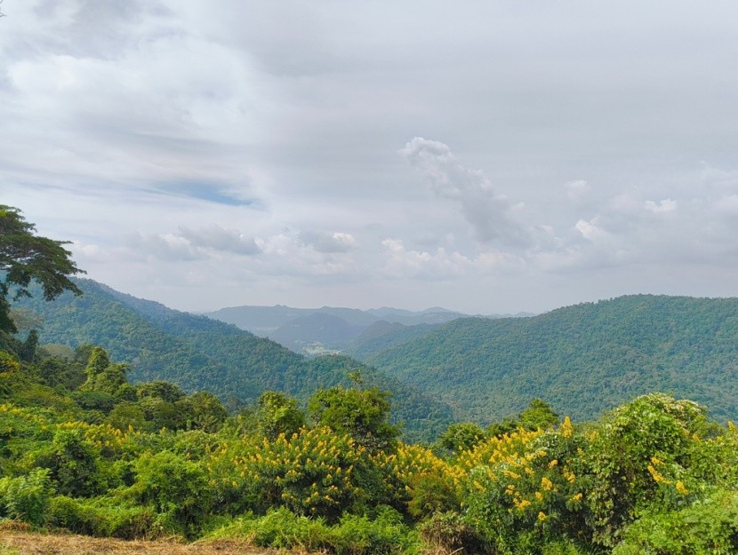 Park Narodowy Khao Yai