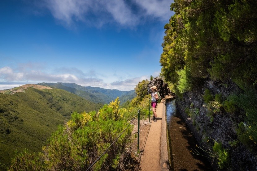 Trekking lewadami na Maderze