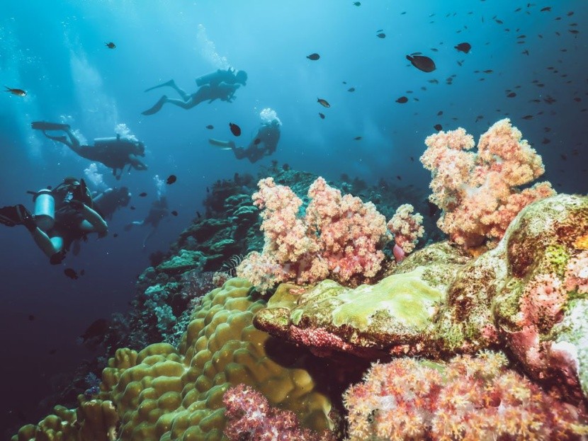 Nurkowanie w Koh Lanta