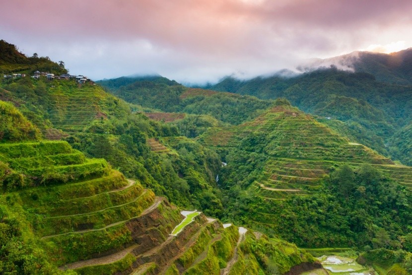 Banaue Rice Terraces