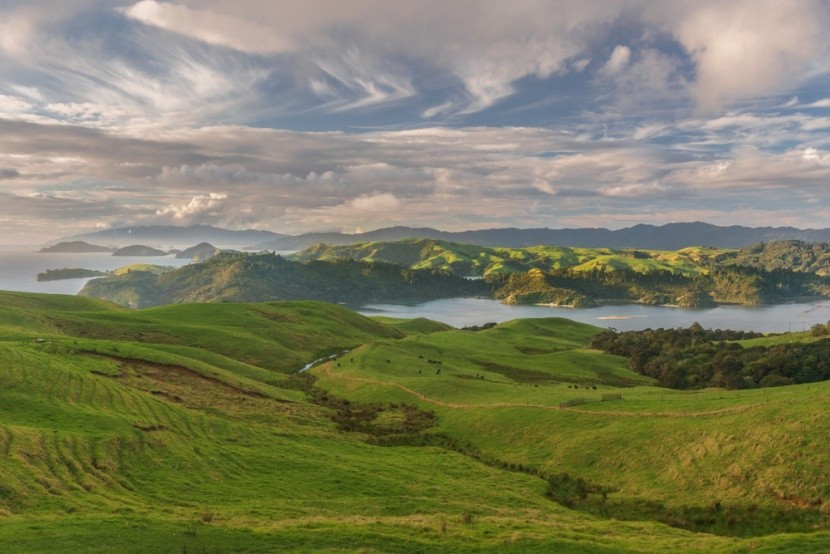 Coromandel, Nový Zéland