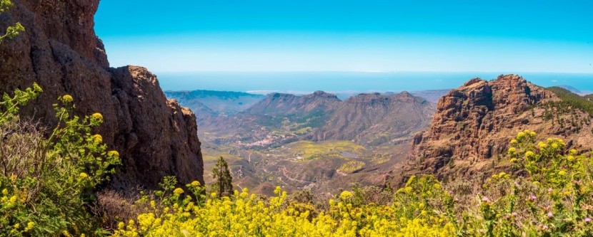 Pico de las Nieves - Gran Canaria