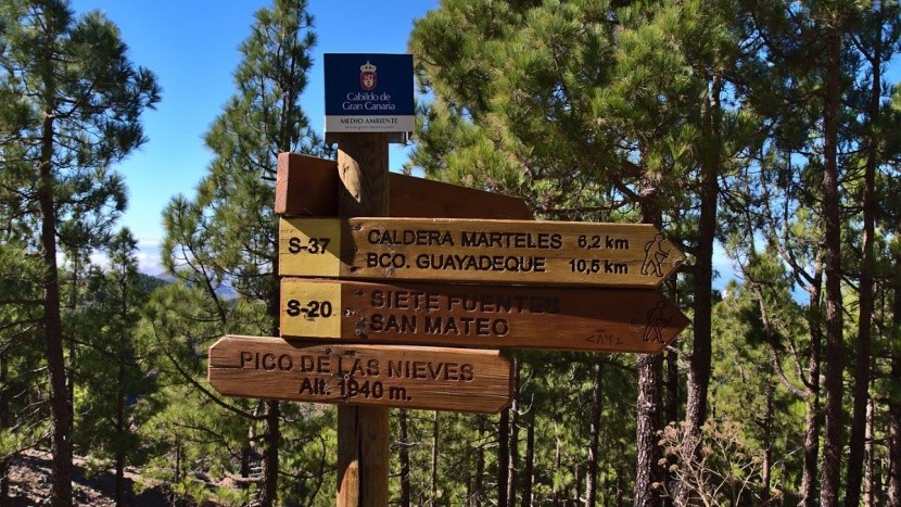 Pico de las Nieves - szlaki