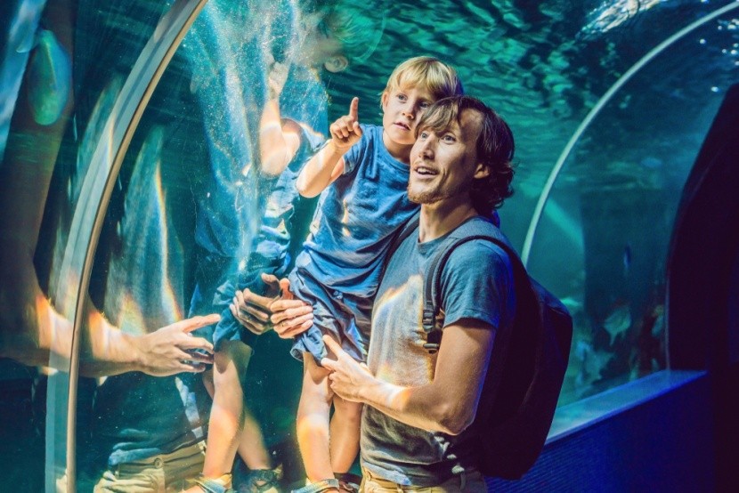Dubai Aquarium and Underwater Zoo