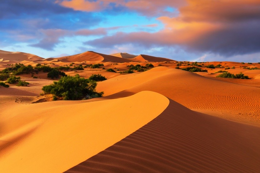 Wydmy Merzouga  - Maroko
