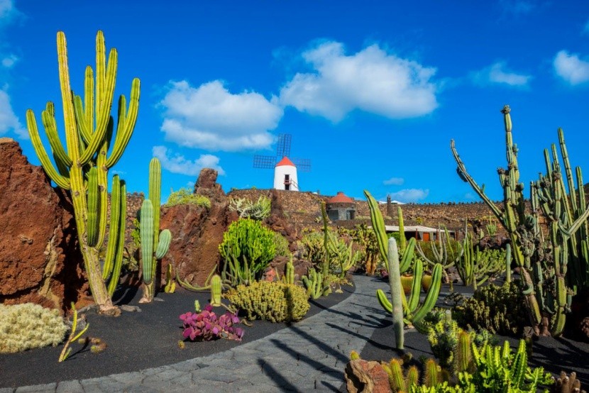 Lanzarote czy Teneryfa - porównanie
