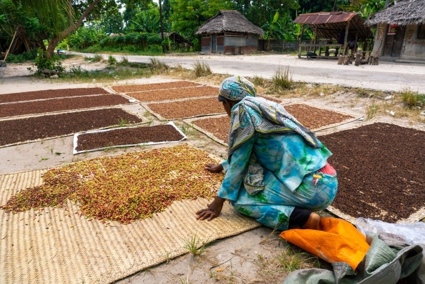 KV Spice Farm, Zanzibar