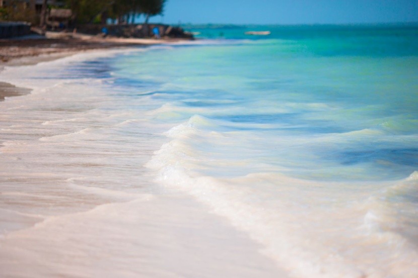 Bajeczny Zanzibar
