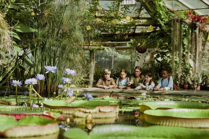 Ogród Botaniczny w Amsterdamie