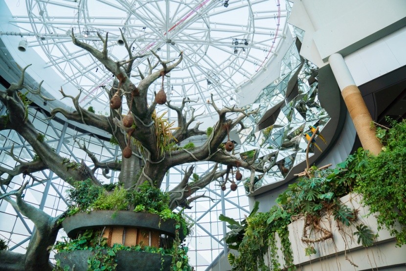 The Green Planet, Dubaj