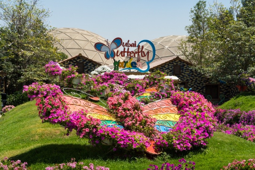 Dubai Butterfly Garden, Dubaj