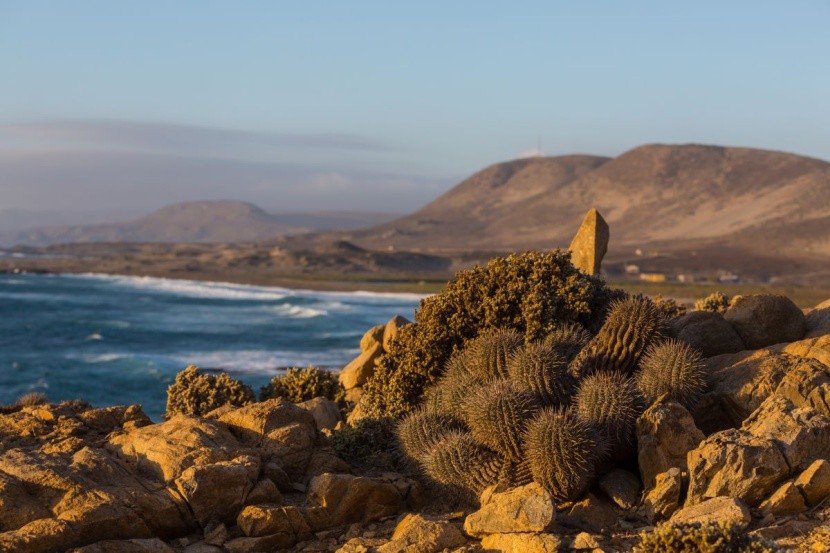 Wyspy Kanaryjskie - porównanie