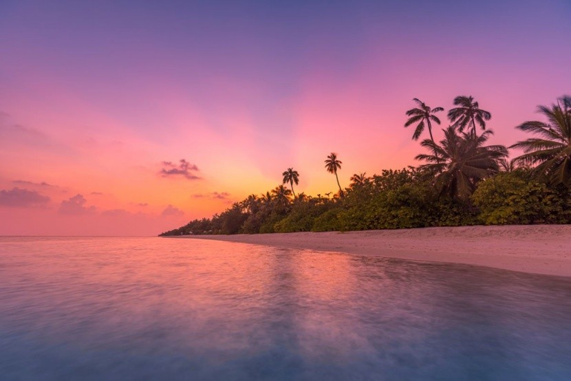 Malewidy - gdzie na wakacje?