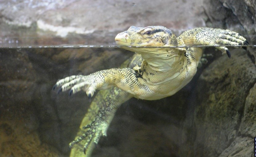 Atrakcje w Hersonissos - Aquaworld