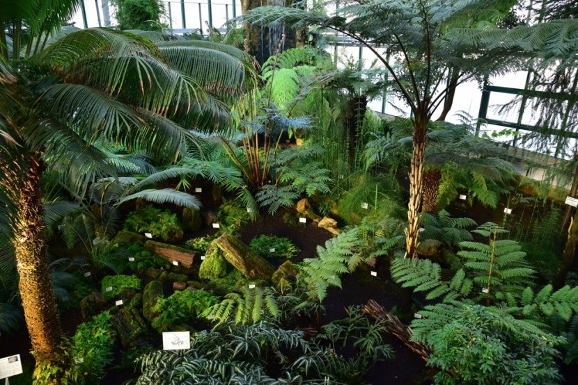 Ogród botaniczny w Libercu