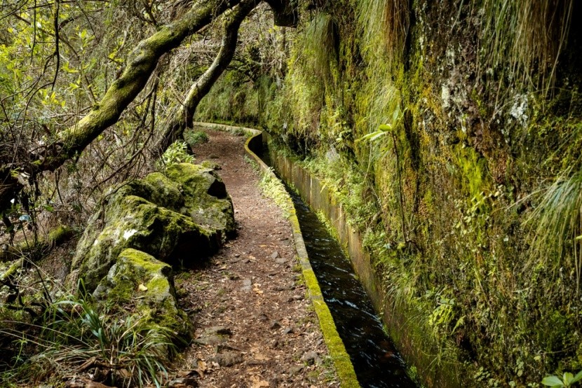 Levada do Furado, Madeira