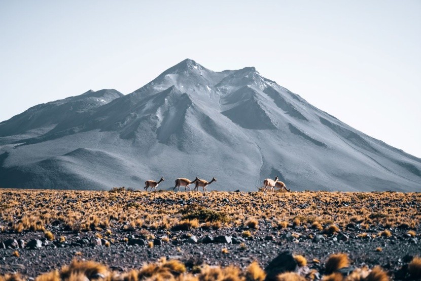 Największe pustynie na świecie - ranking