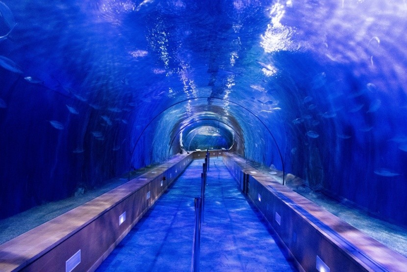 L’Oceanogràfic