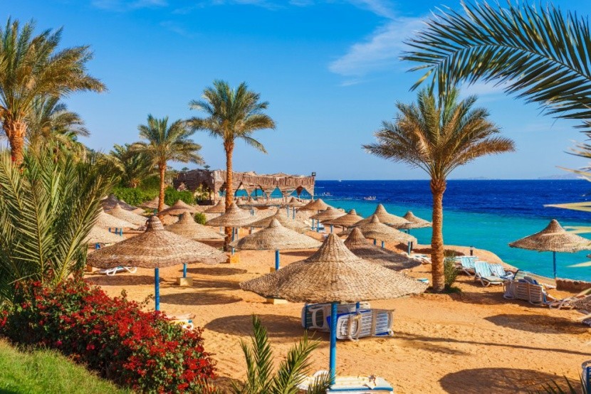 Műanyagmentes Egyiptom