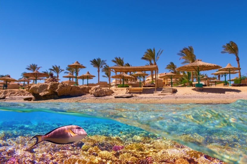 pestrý život pod hladinou Rudého moře