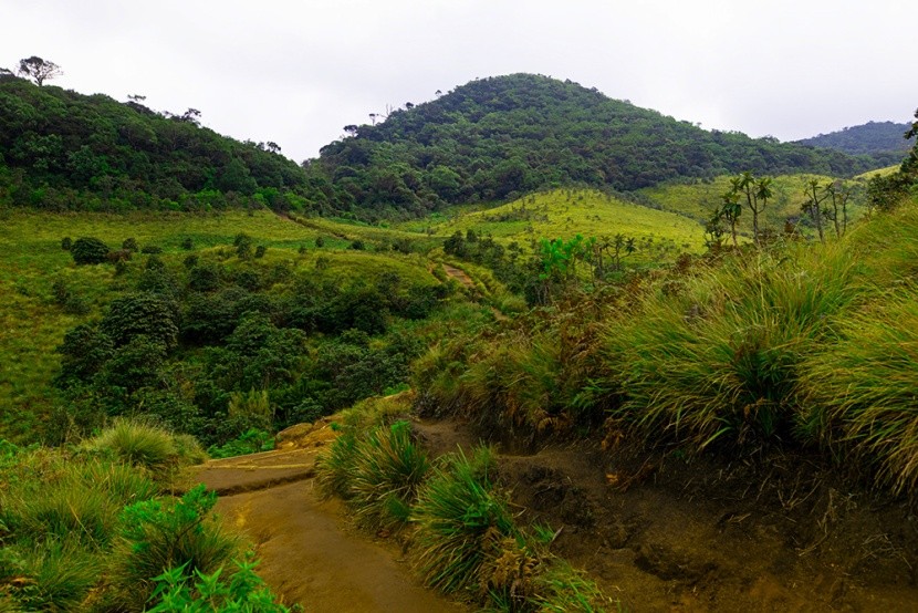 Pekoe Trail na Sri Lance