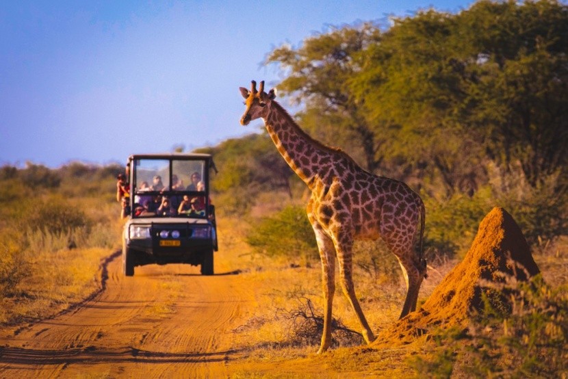 Kenyai szafari túra életre szóló élményekkel
