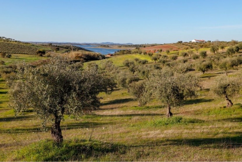 Alentejo poblíž jezera Alqueva