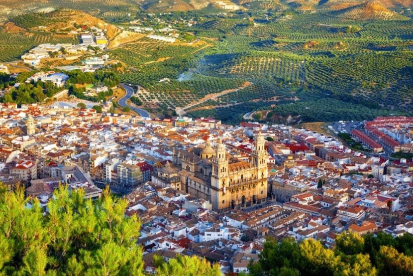 Jaen obklopený olivovníky, Andalusie