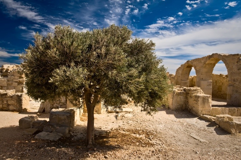 Kourion, Kypr