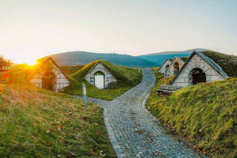Gombos-hegyi pincesor, Tokaj-Hegyalja