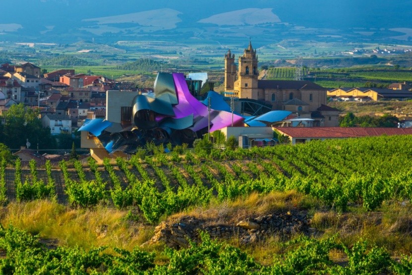 A modern stIlusú Elegico, Rioja borvidék