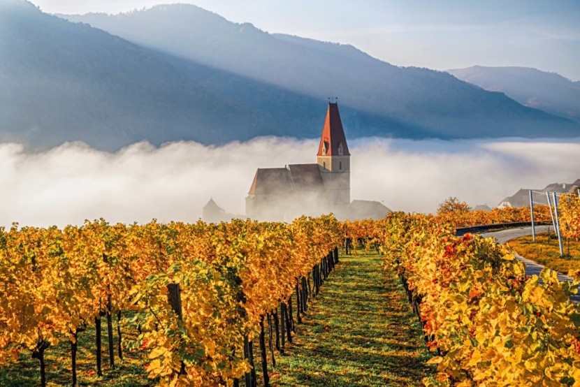 Wachau, a csodás osztrák borvidék