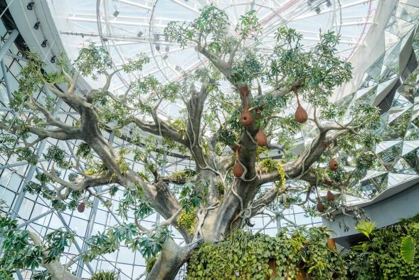 The Green Planet dubai