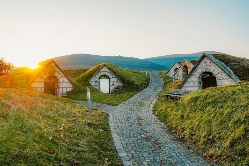 Hercegkút, Magyarország borvidéke