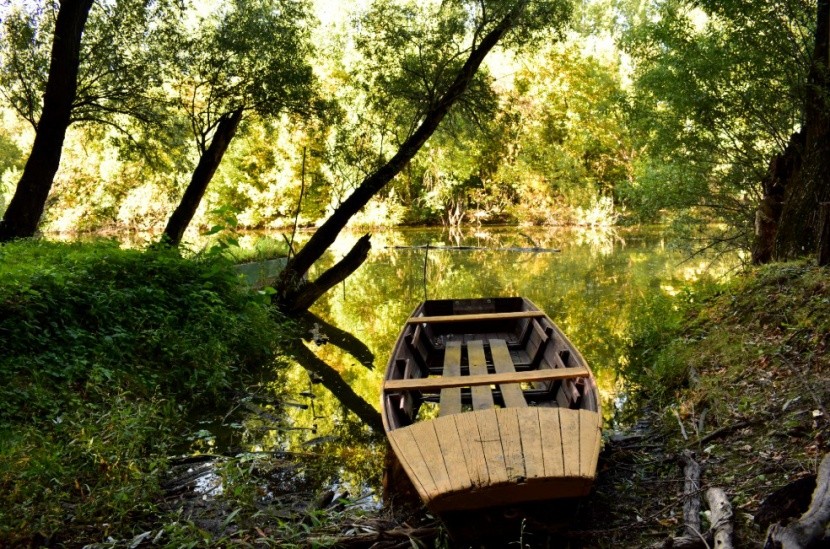 A varázslatos Gemenci erdő