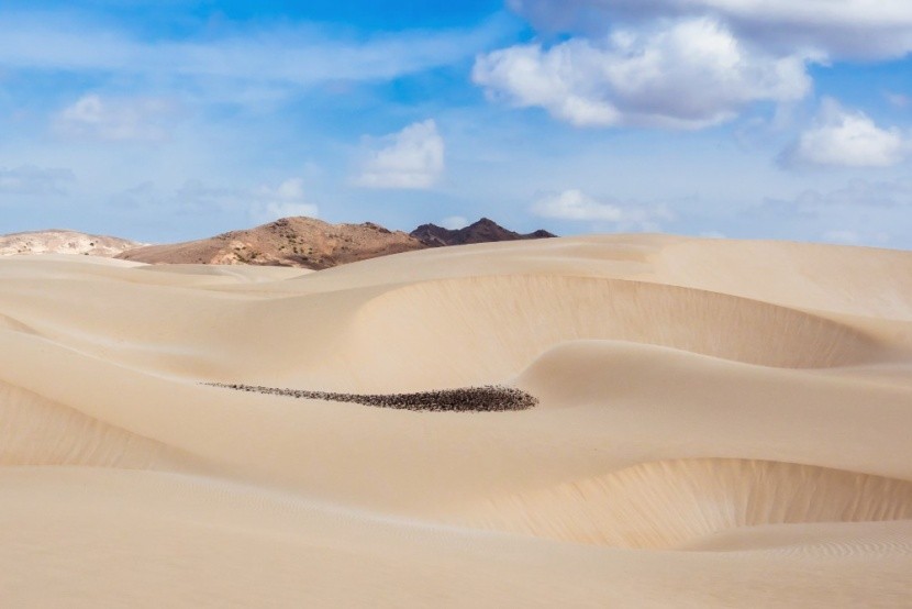 Viana-sivatag Boa Vista szigetén