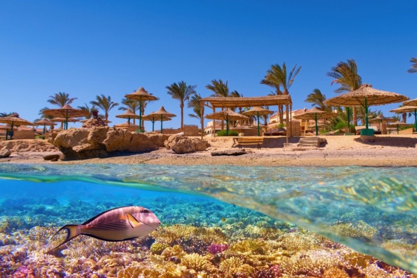 Marsa Alam csodás világa