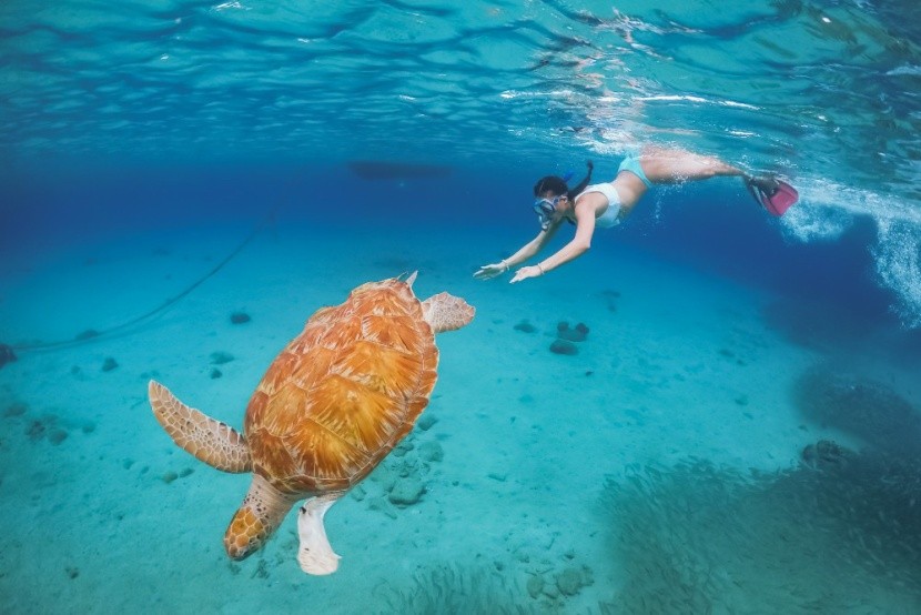 A mesés víz alatti világ Dominikán