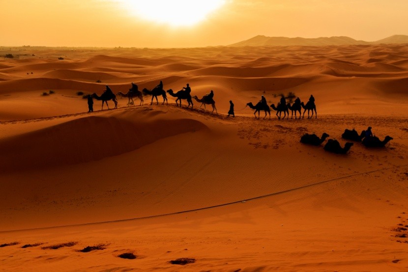 karavana v poušti, Merzouga, Maroko