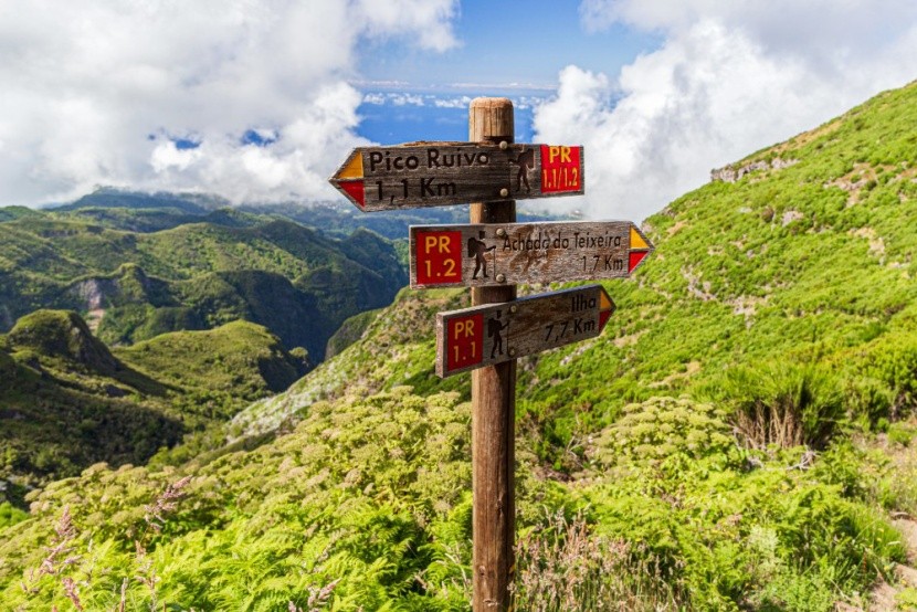 Vissza a természetbe!